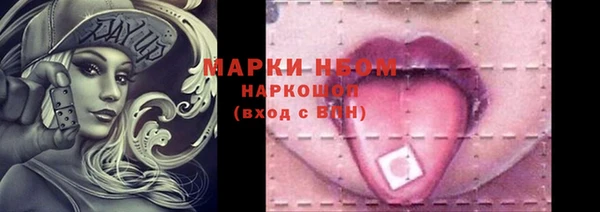 индика Новодвинск