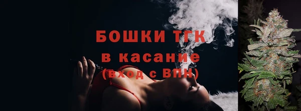 индика Новодвинск