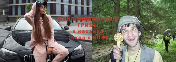 дмт Абаза