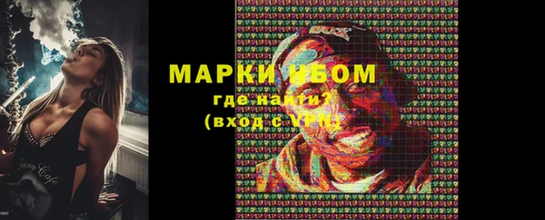 индика Новодвинск