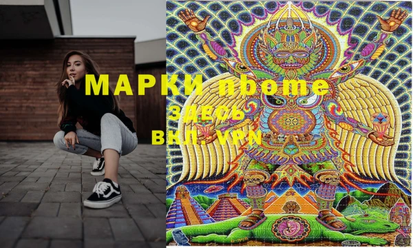 индика Новодвинск