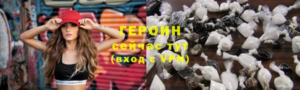 индика Новодвинск