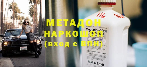 индика Новодвинск